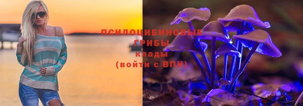 гидра Майский