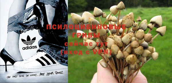 бошки Липки