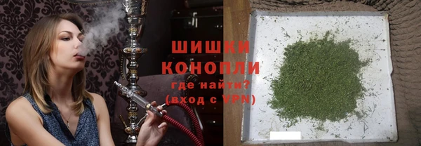 гидра Майский