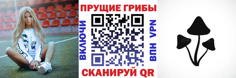 Галлюциногенные грибы Psilocybe  Приволжск 